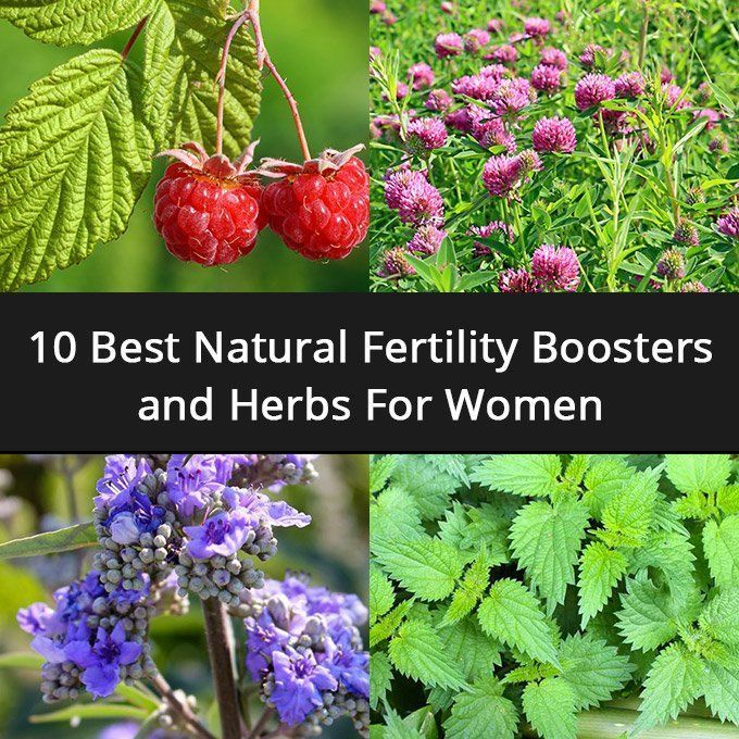 How Long Natural Remedies Take to Improve Fertility
