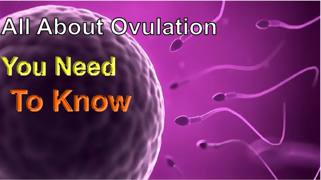 Toxins Blocking Ovulation: What Women Must Know