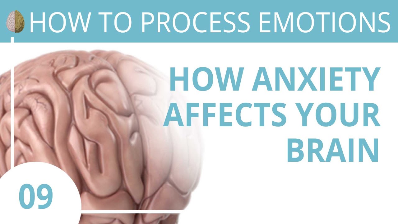 Long-Term Anxiety and Your Brain: The Shocking Science