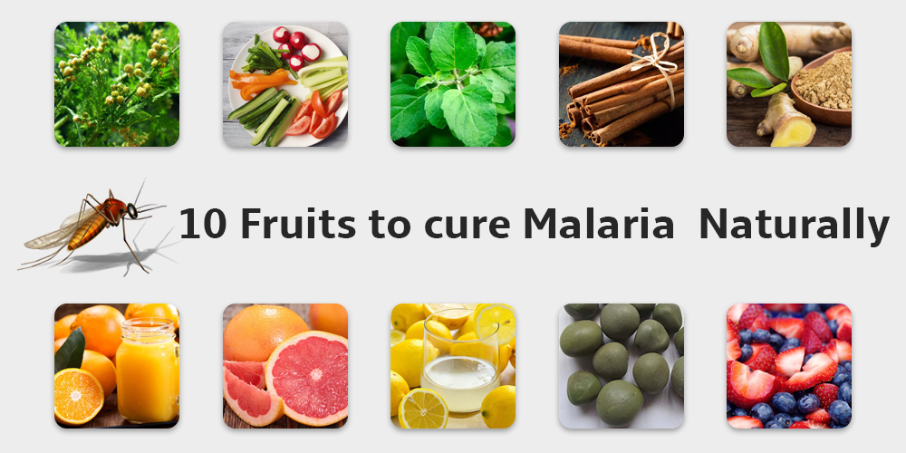 10 Fruits to Cure Malaria Naturally: Nature’s Healing Power for Faster Recovery